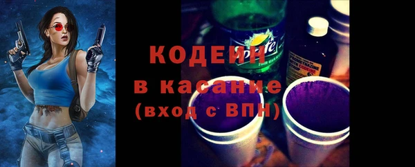 хмурый Касимов