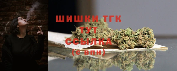 тгк Карпинск