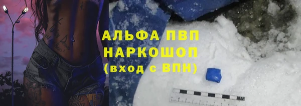 хмурый Касимов