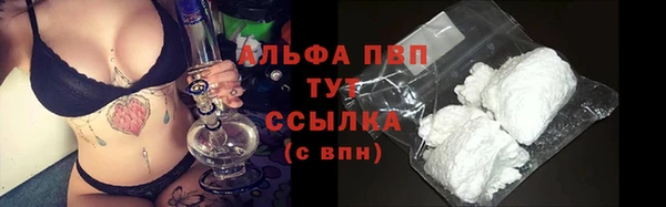 хмурый Касимов